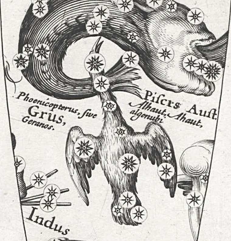 Phoenicopterus on Pieter van den Keere’s globe c.1625.
