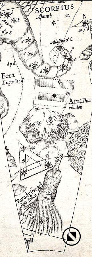 Gores from the Plancius celestial globe of 1598