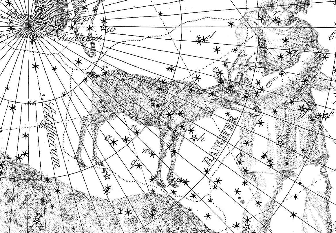 Rangifer on Bode's Uranographia