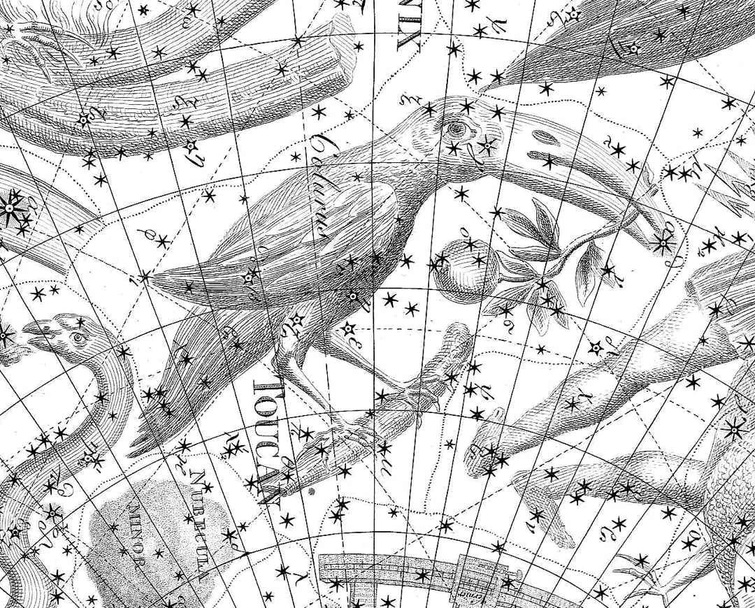 Tucana on Chart XX of the Uranographia star atlas of Johann Bode