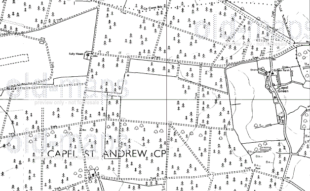 Forest in late 1970s.gif