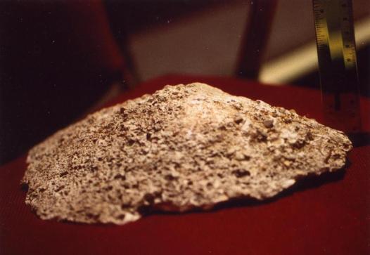 plastercast.jpg